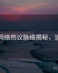 秀人网网络热议脉络揭秘，速来查看